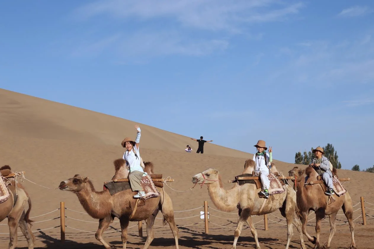 Camel riding at Mingsha Mountain