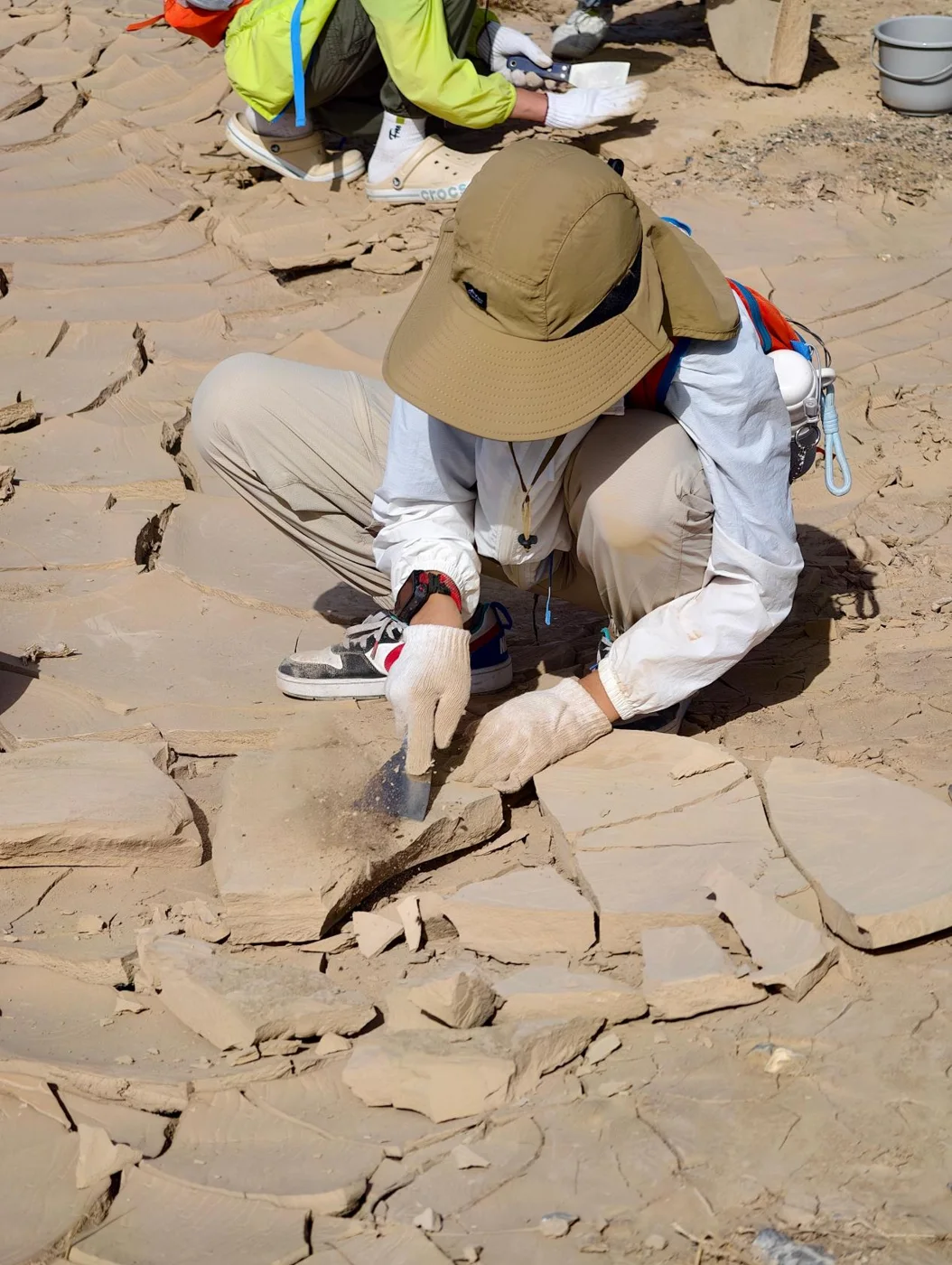 Gathering mural materials in the Gobi Desert