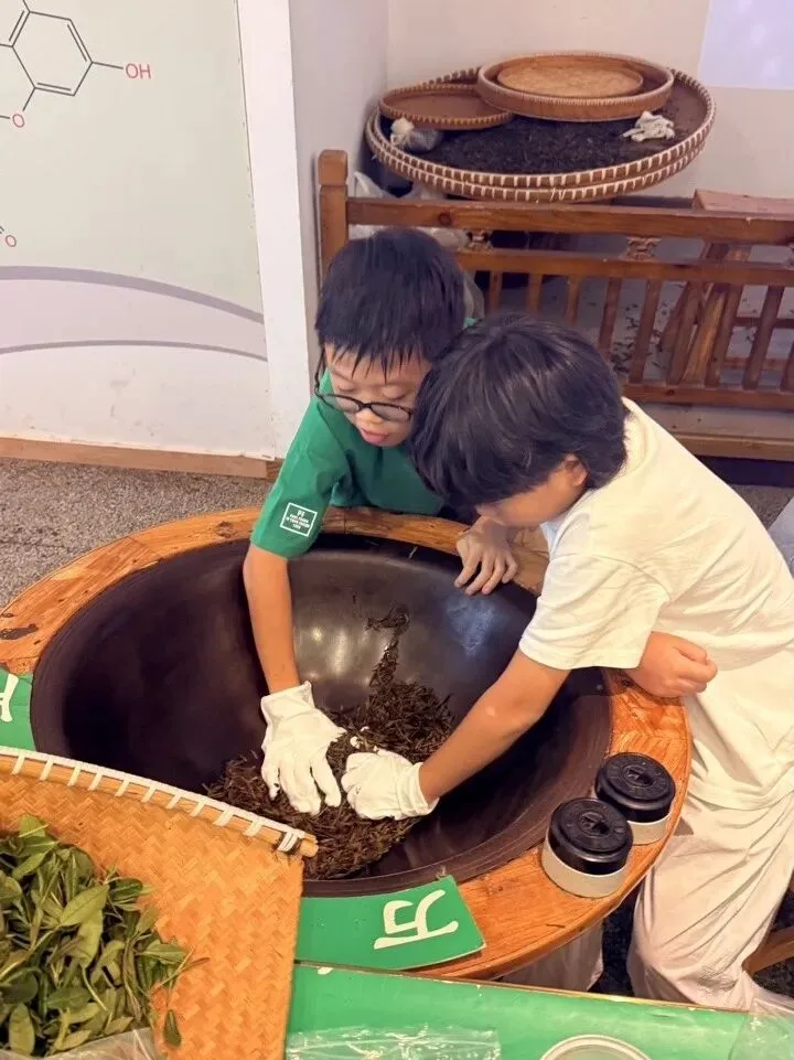Two boys in white gloves hand-roast tea leaves in a heated wok