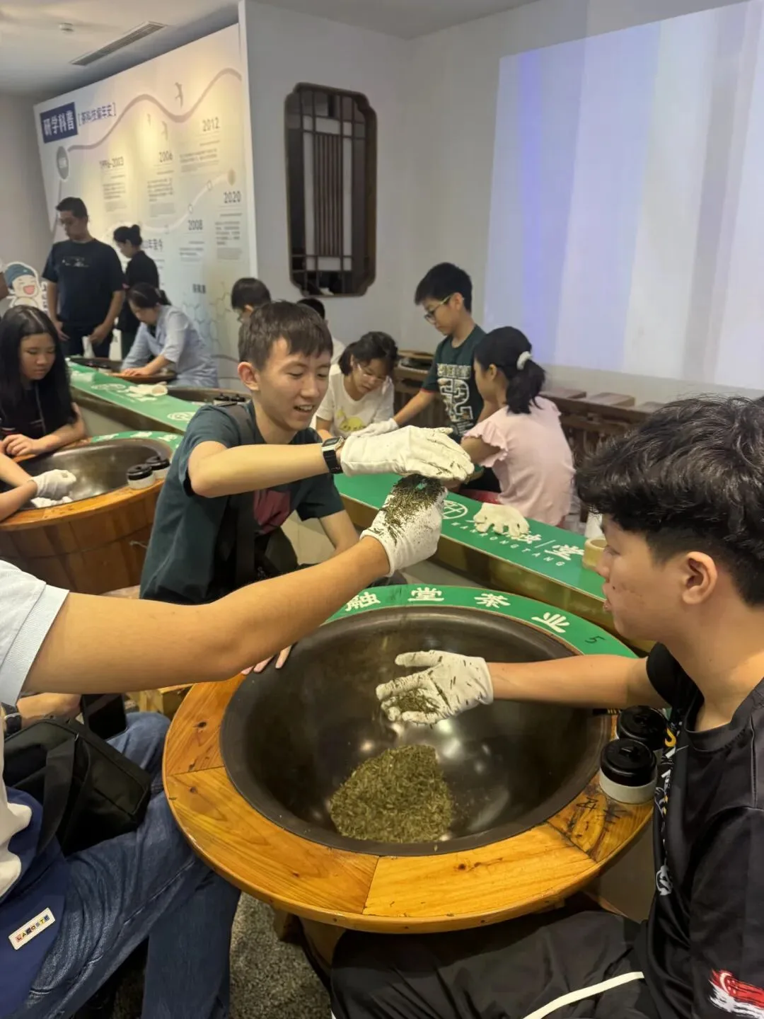 A teenager lifts a handful of roasted tea from a row of wood-framed roasting woks