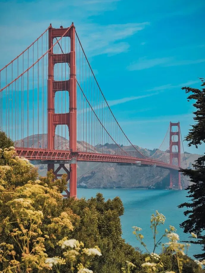 The Golden Gate Bridge seen past yellow wildflowers, with the headlands beyond.