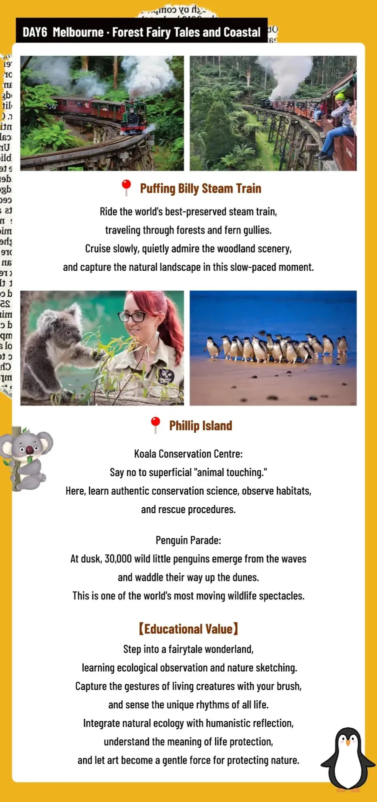 Day 6, Melbourne: Puffing Billy Steam Train, the Phillip Island koala conservation centre and the evening penguin parade.