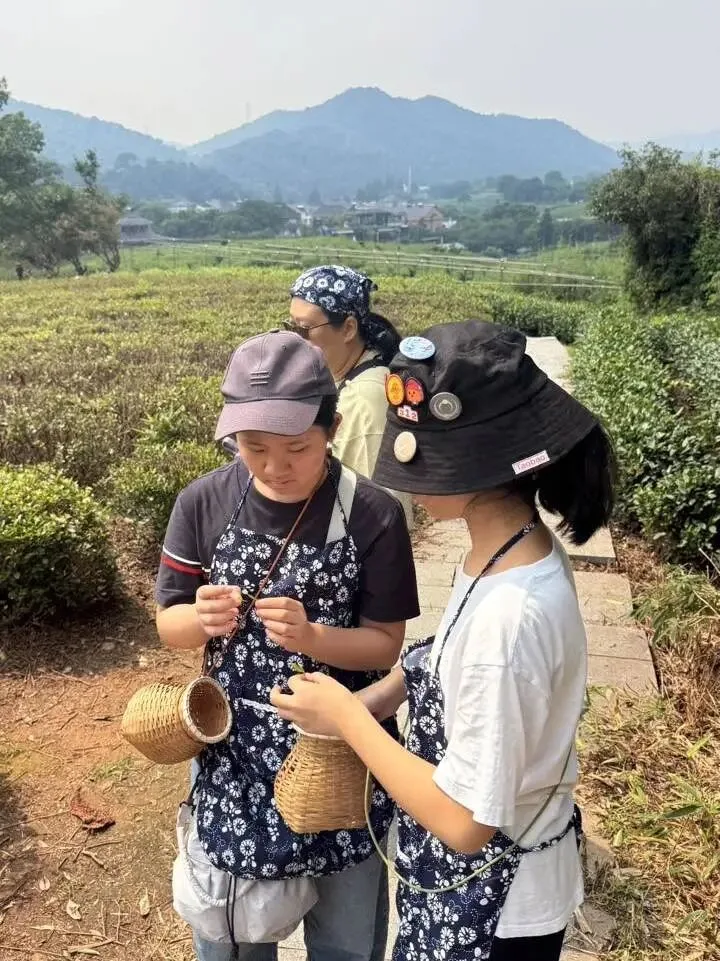 Two girls in floral aprons pick tea leaves into bamboo baskets on a hillside plantation